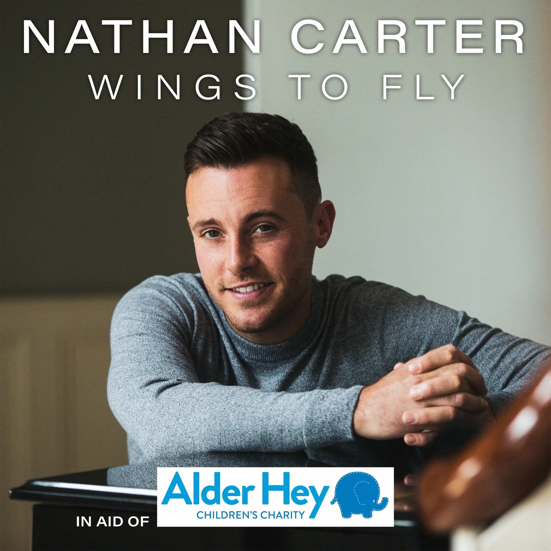 Album cover of Wings To Fly