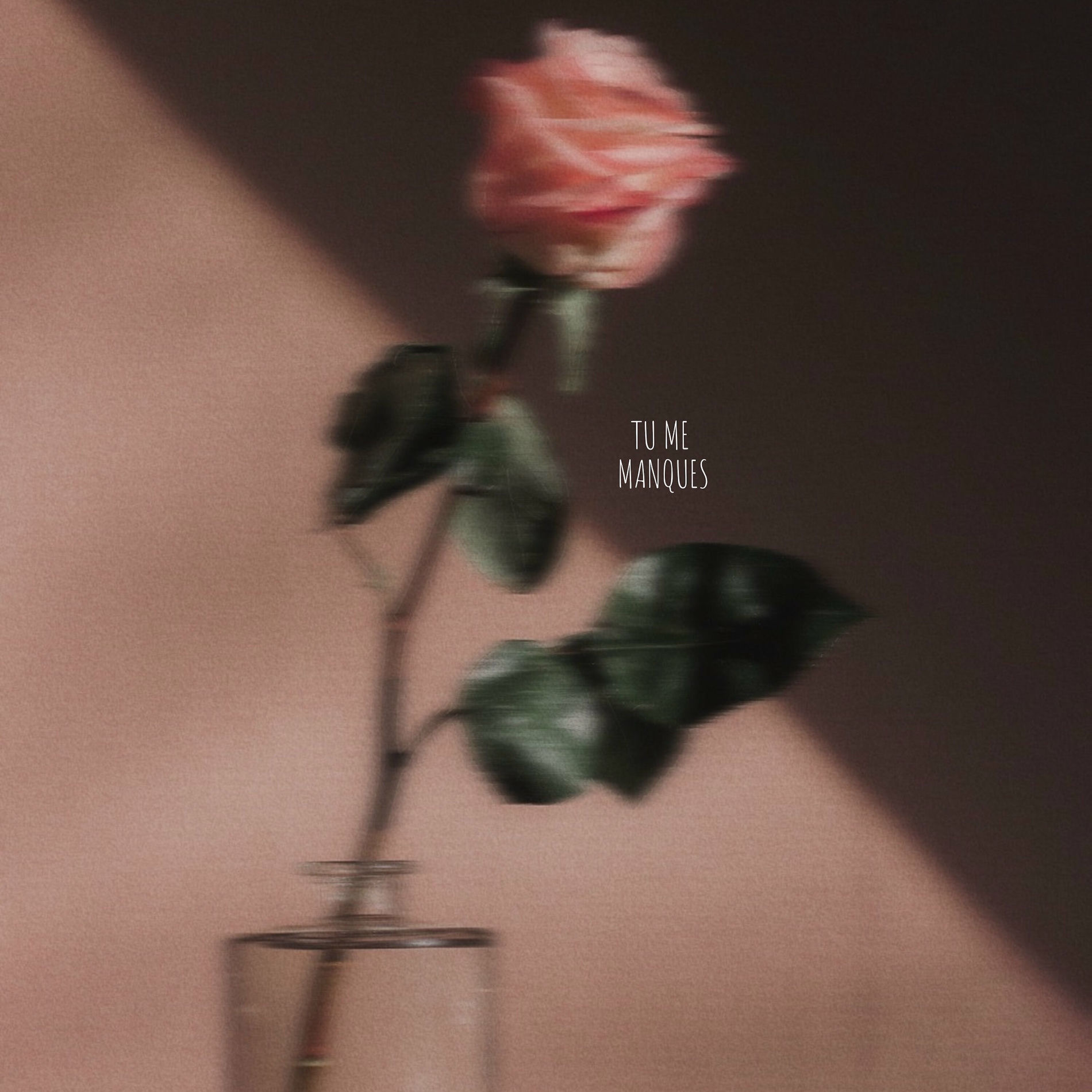 Album cover of Tu me manques