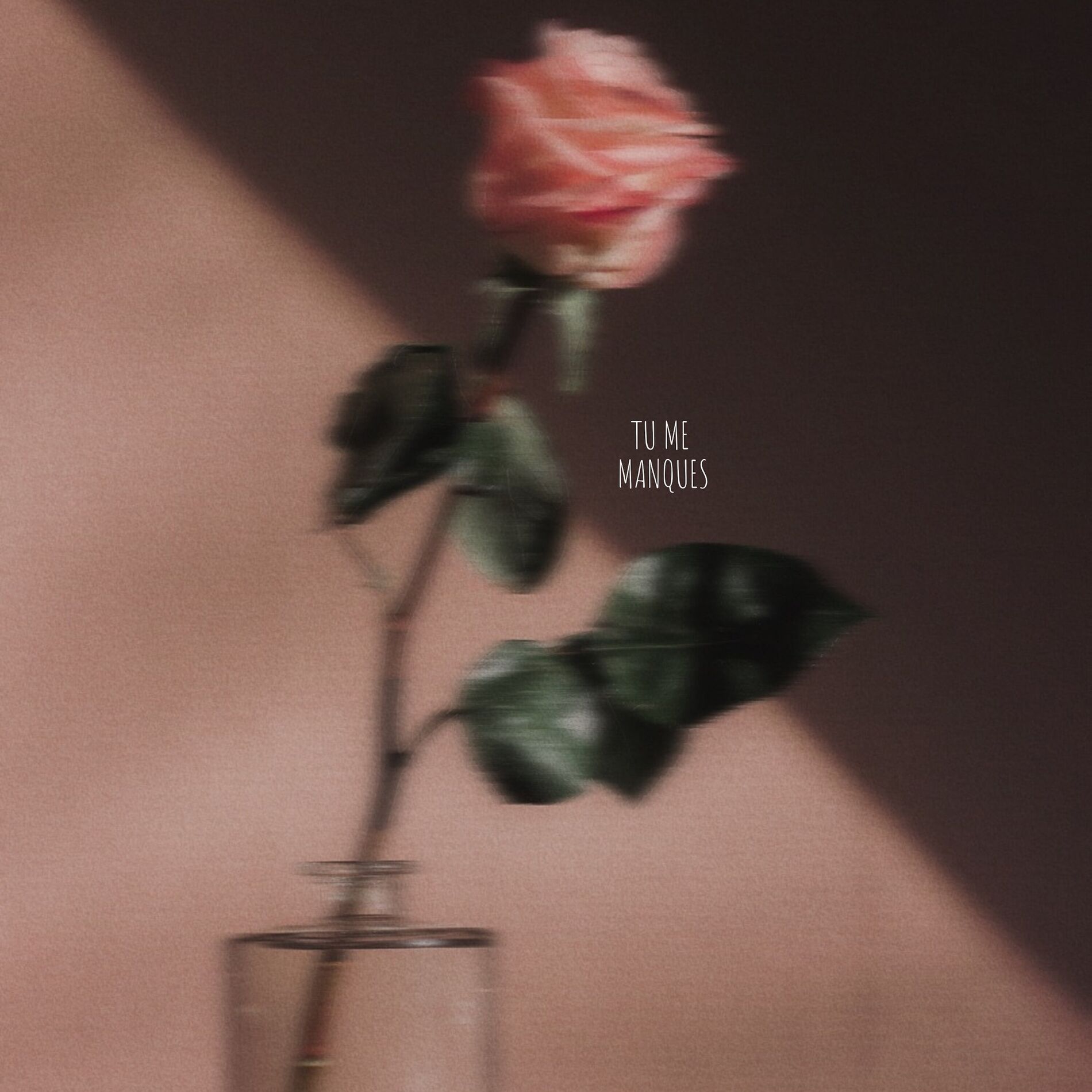 Album cover of Tu me manques