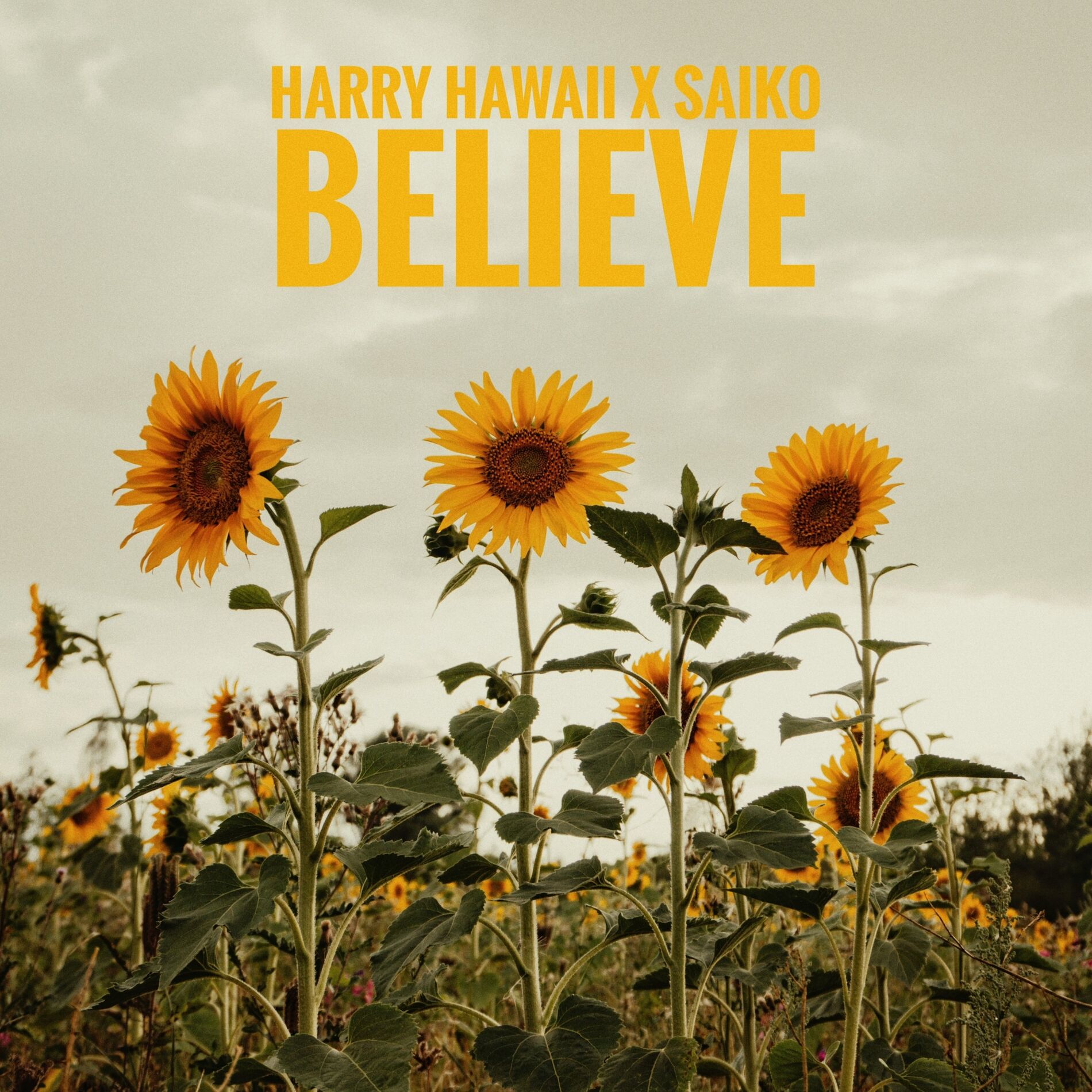 Album cover of Believe