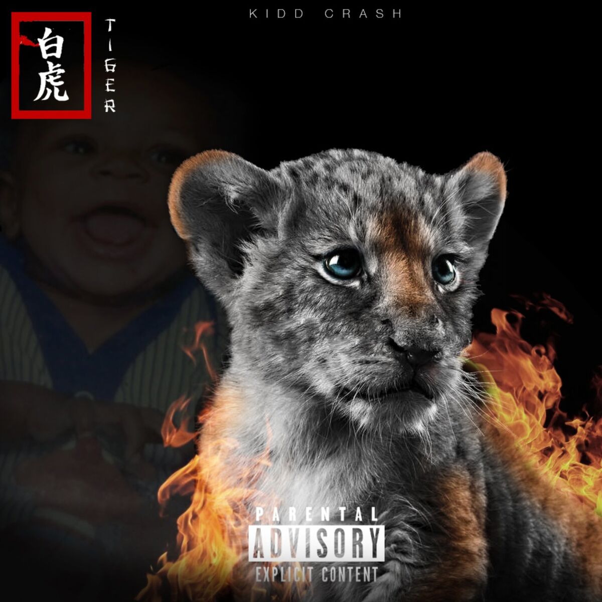 Album cover of Tiger