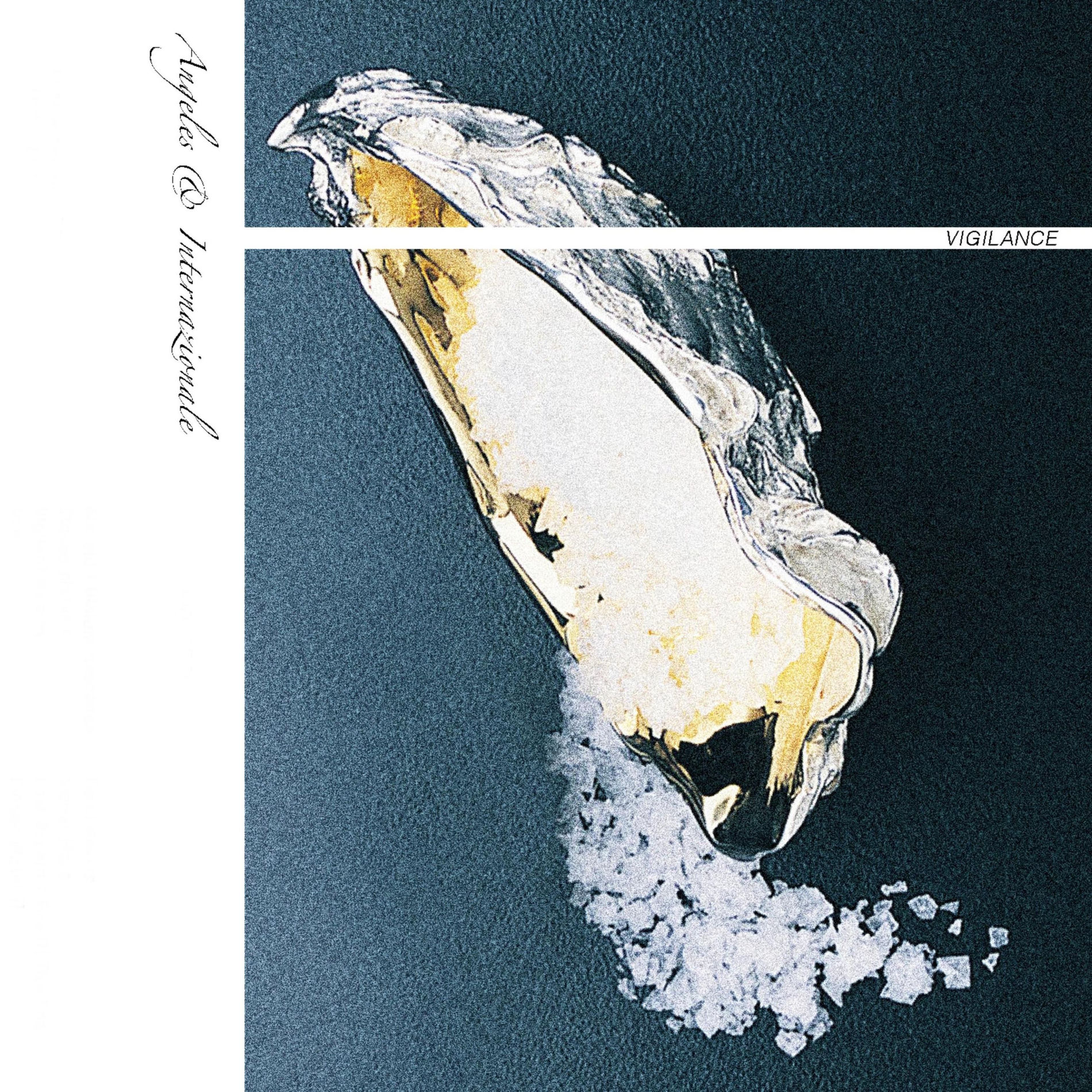 Album cover of Vigilance
