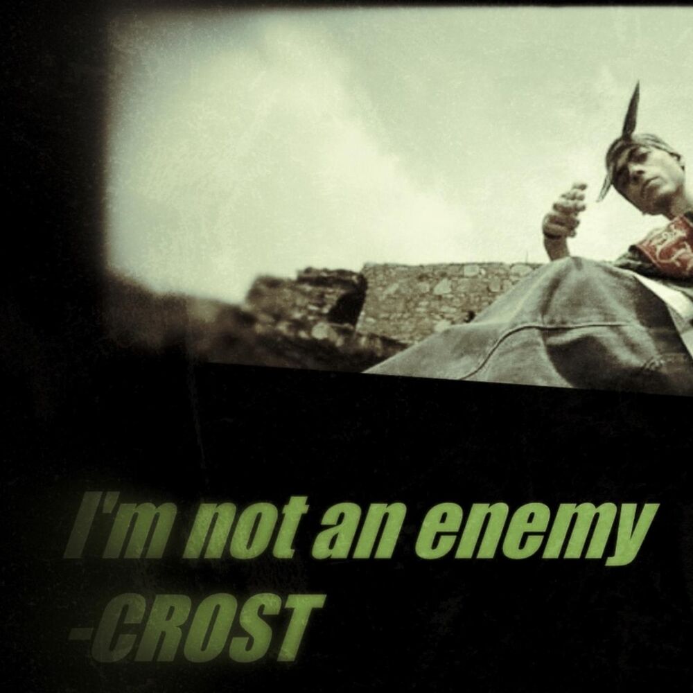 Picture of I'm Not An Enemy