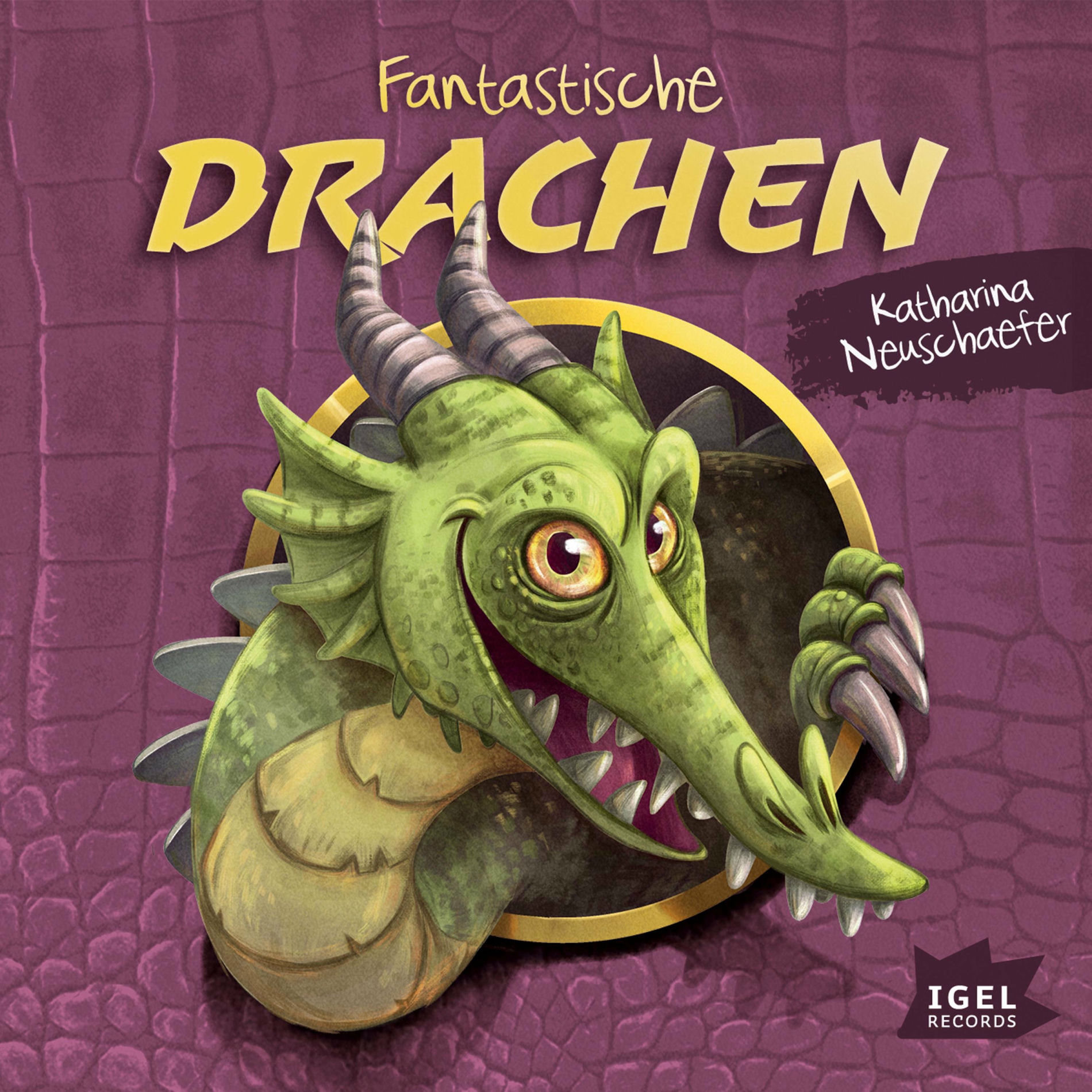 Album cover of Fantastische Drachen
