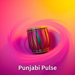 Punjabi Pulse