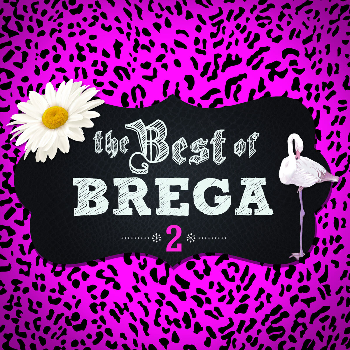 Album cover of The Best Of Brega - Vol. 2