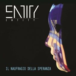 Cover of Il naufragio della speranza