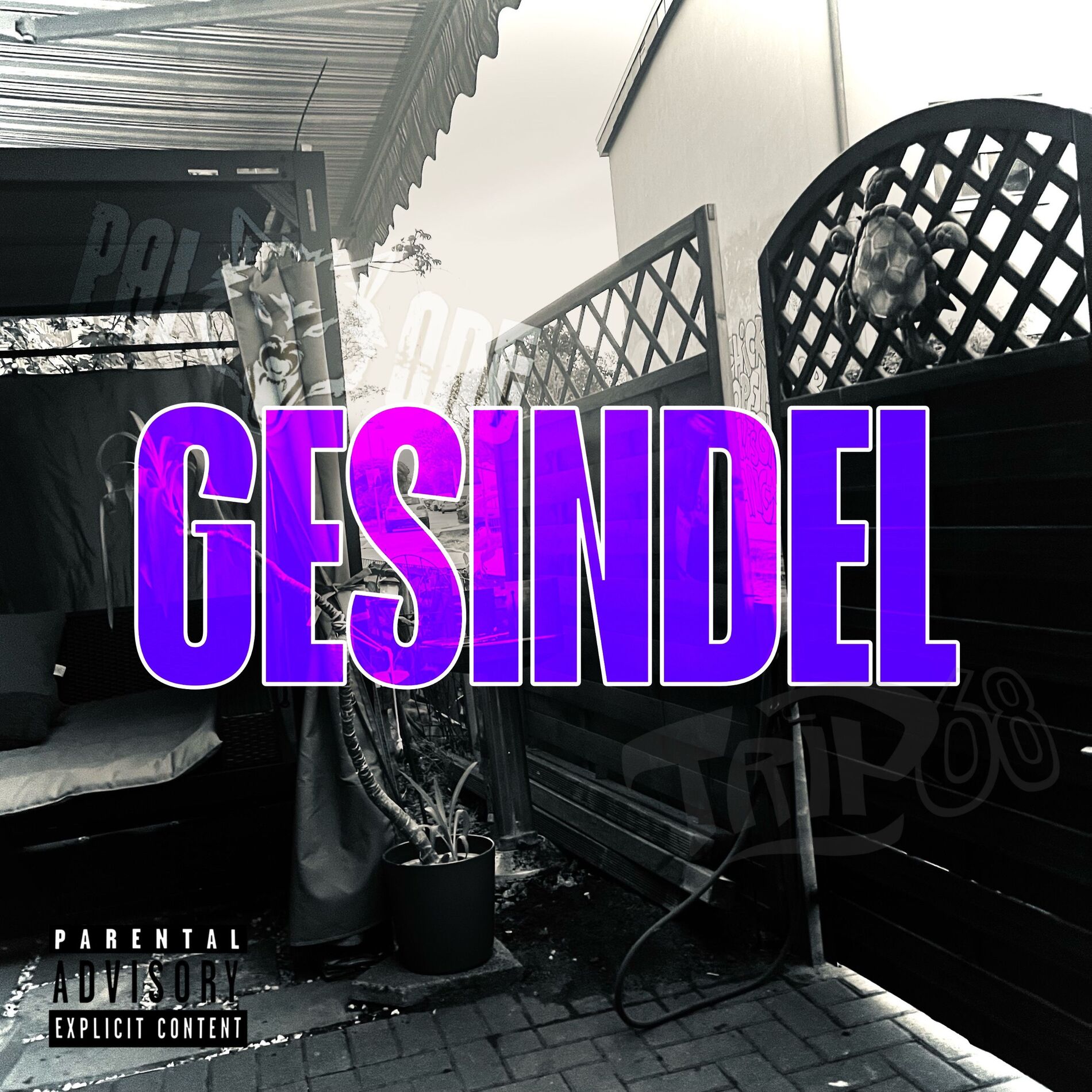 Album cover of Gesindel