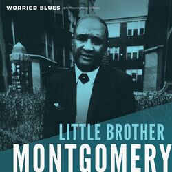 Cover of Worried Blues