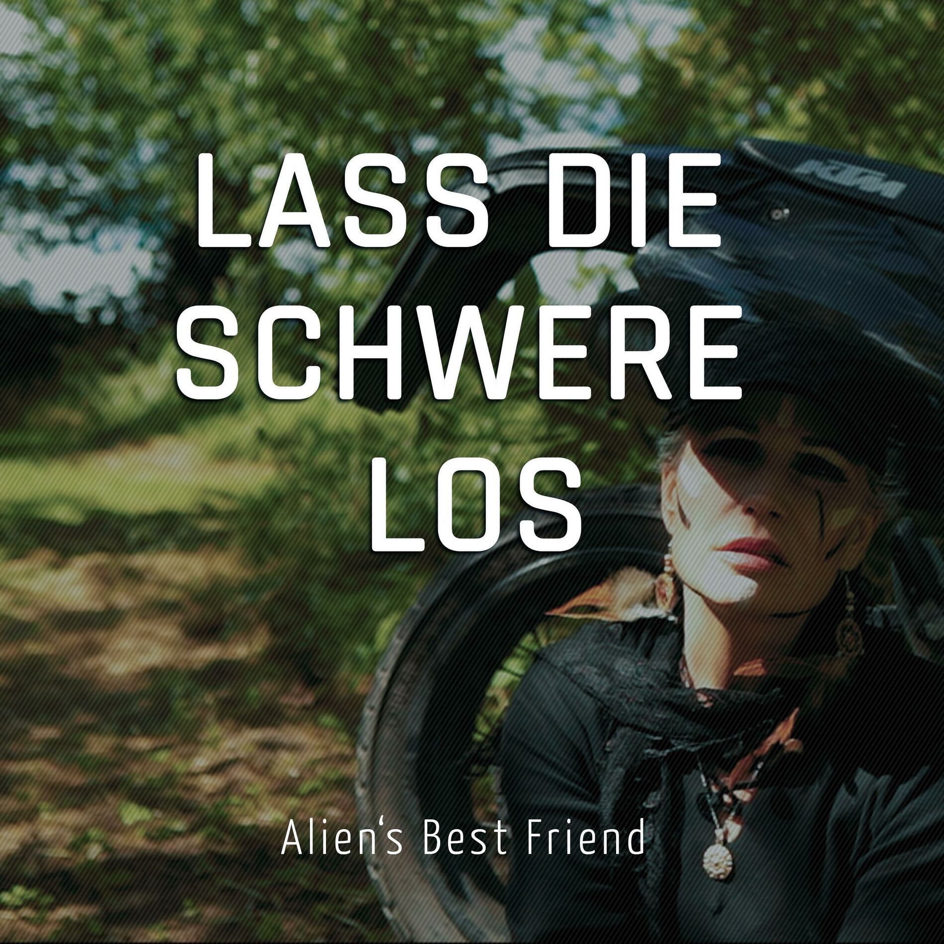 Album cover of LASS DIE SCHWERE LOS