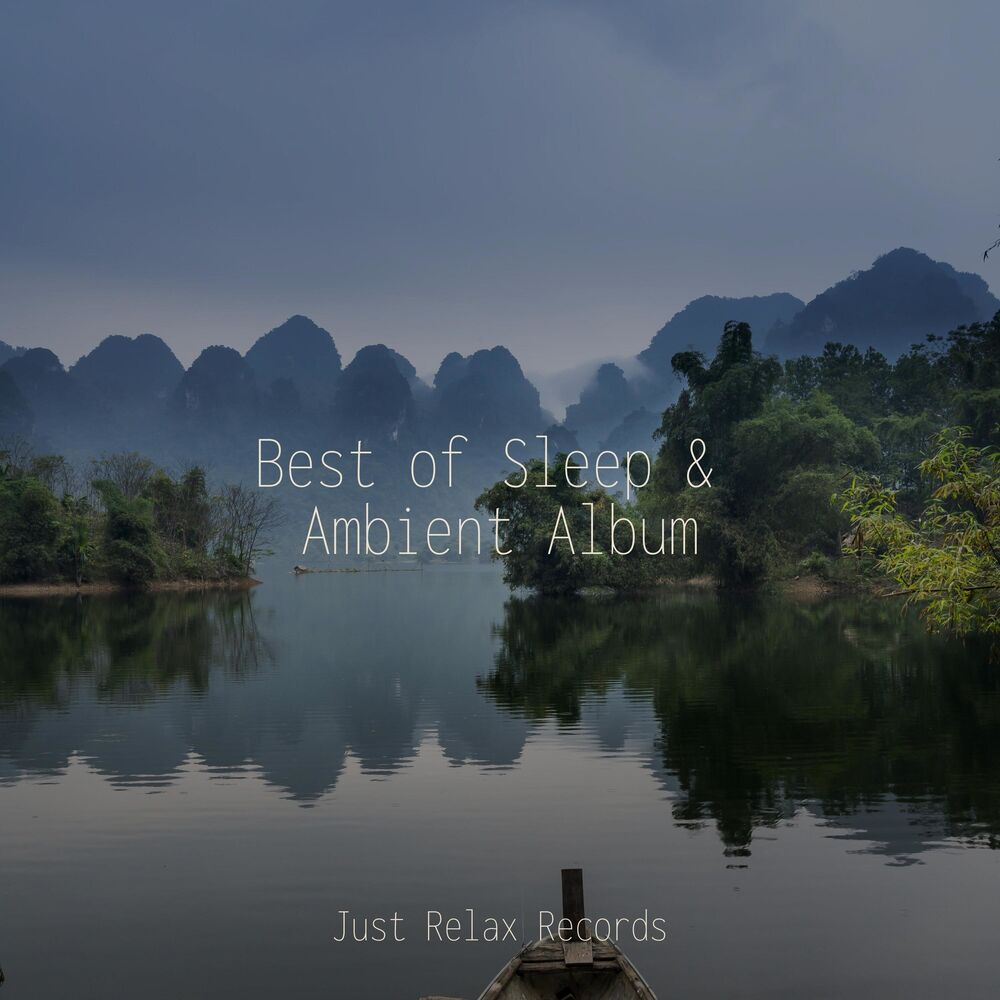 Picture of Best of Sleep & Ambient Album