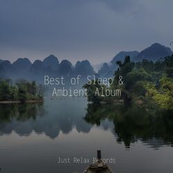 Cover of Best of Sleep & Ambient Album