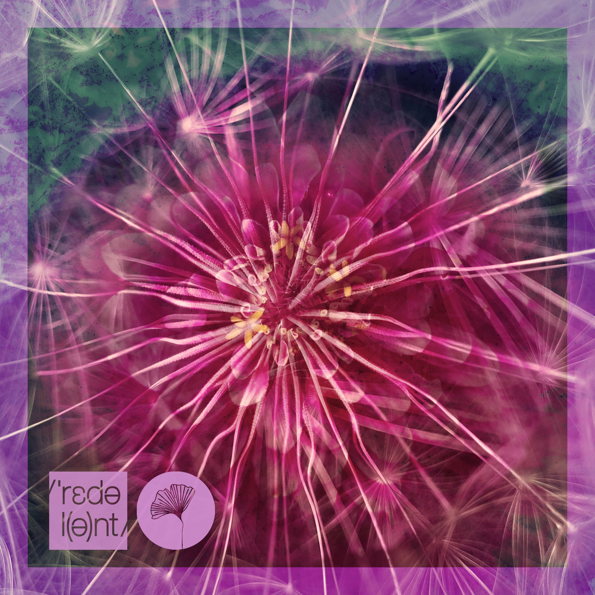 Album cover of Wataki