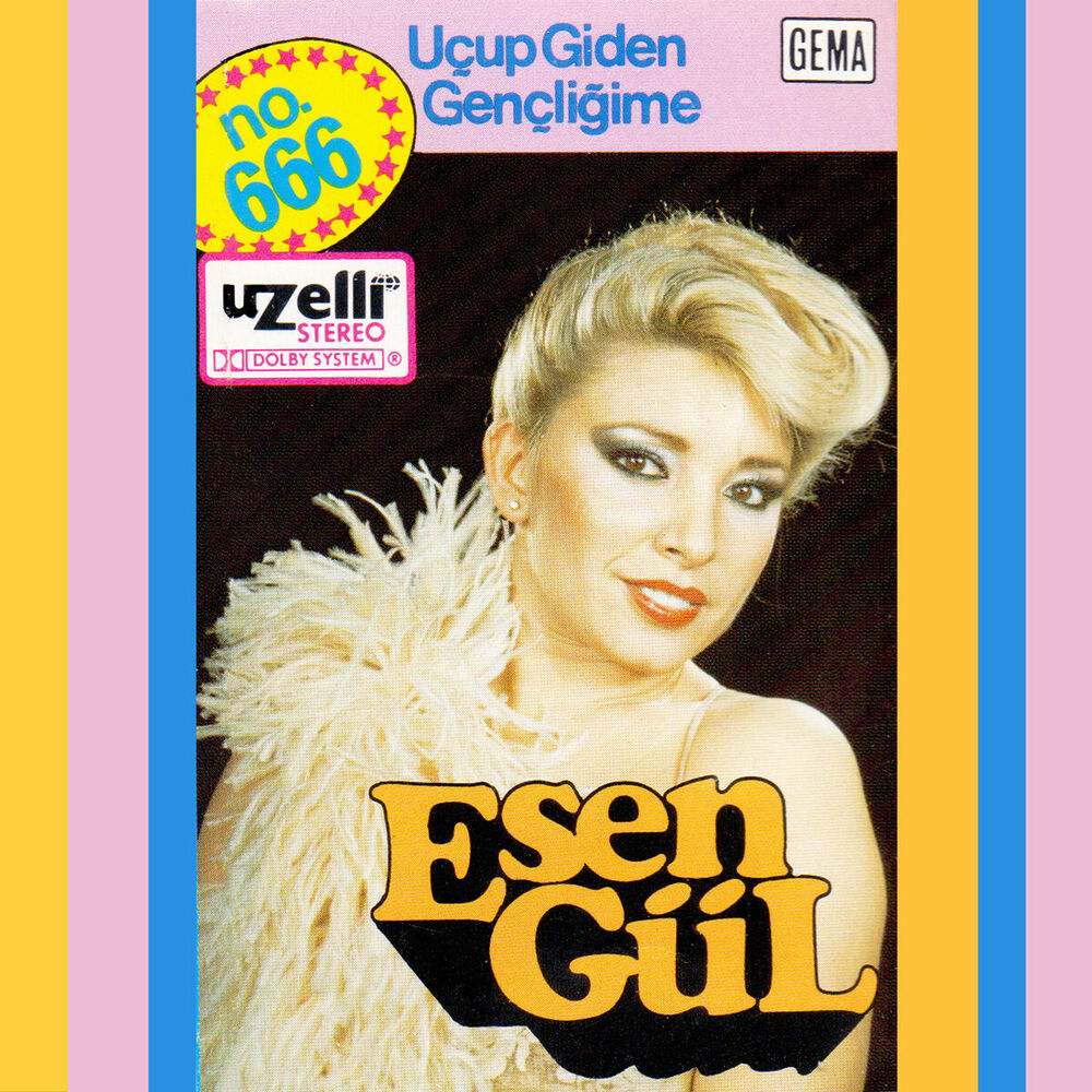 Picture of Uçup Giden Gençliğime