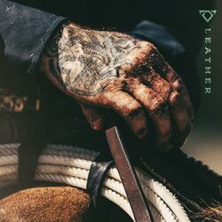 Cover of Leather