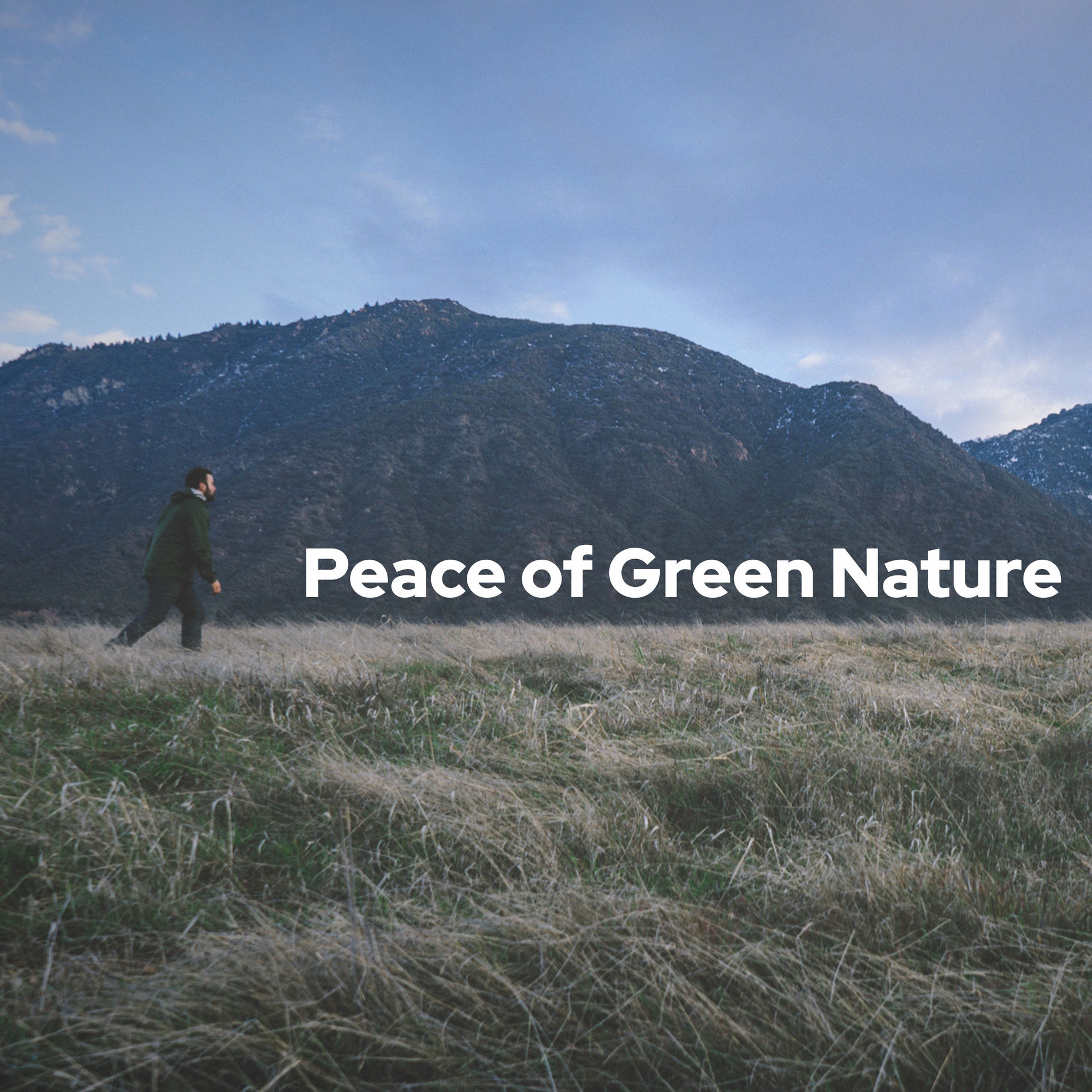 Album cover of Mother Nature