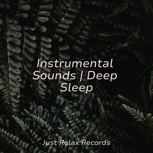Instrumental Sounds | Deep Sleep