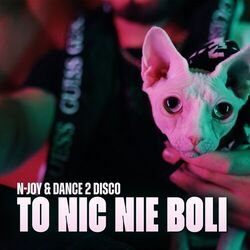 Cover of To Nic Nie Boli (Radio Edit)