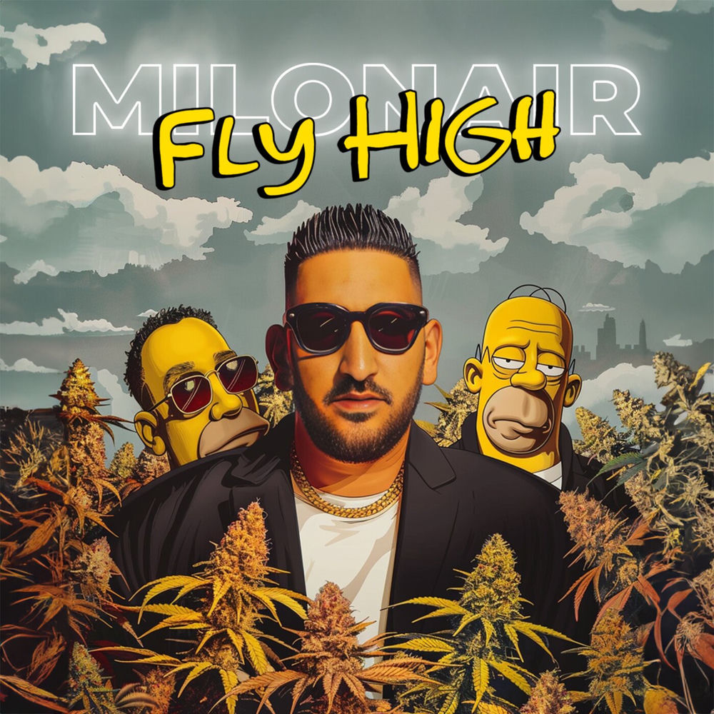 Album artwork for Fly High by Silo