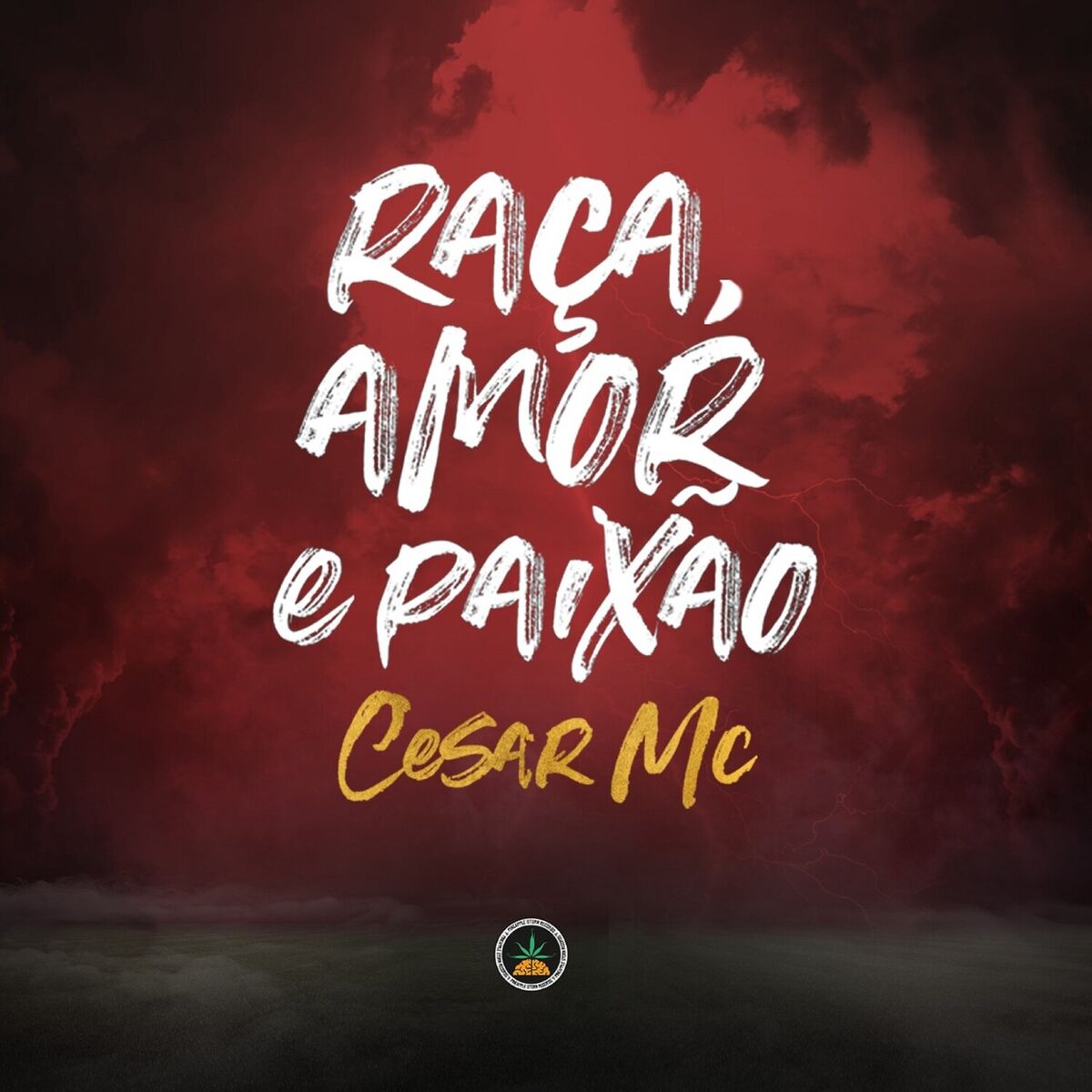 Album cover of Raça, Amor e Paixão