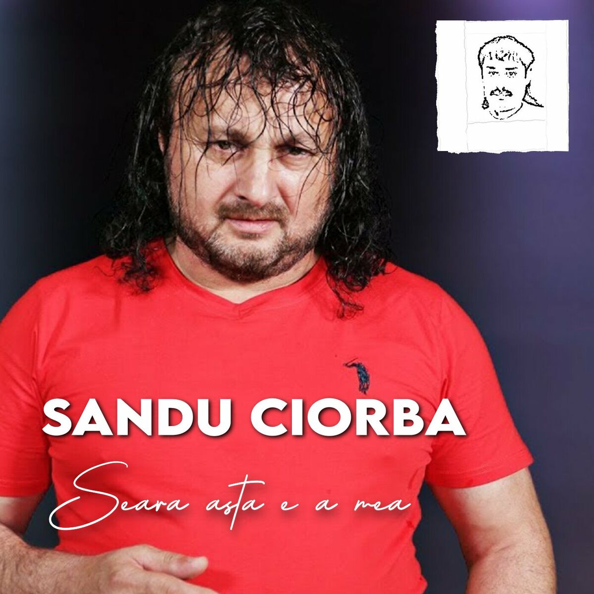 Album cover of Seara asta e a mea