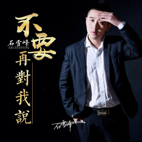 不要再对我说