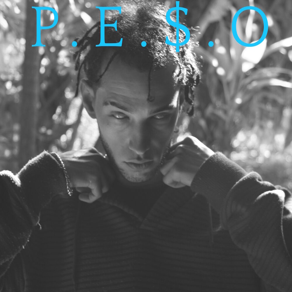 Picture of P. E. $. O
