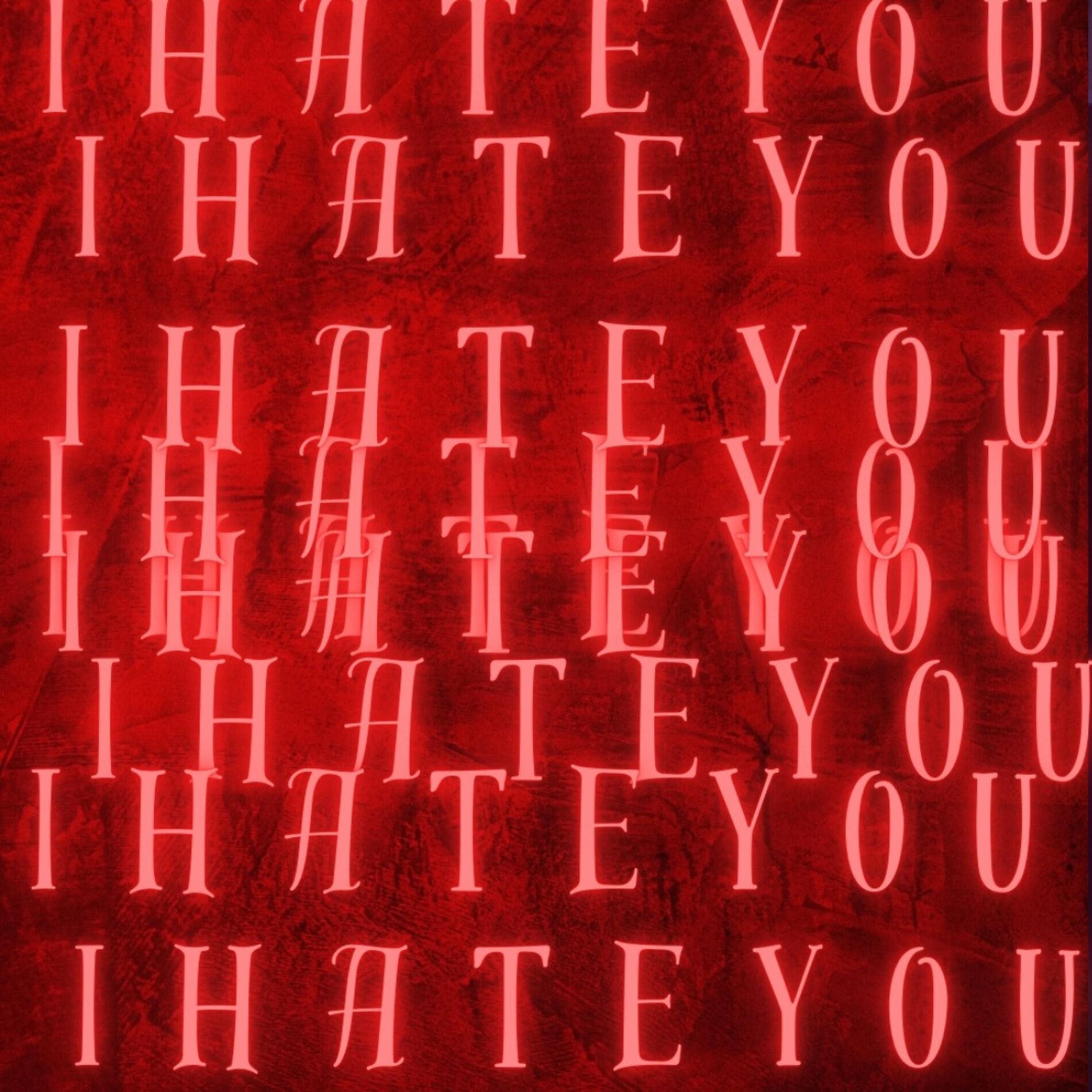Album cover of i hate u