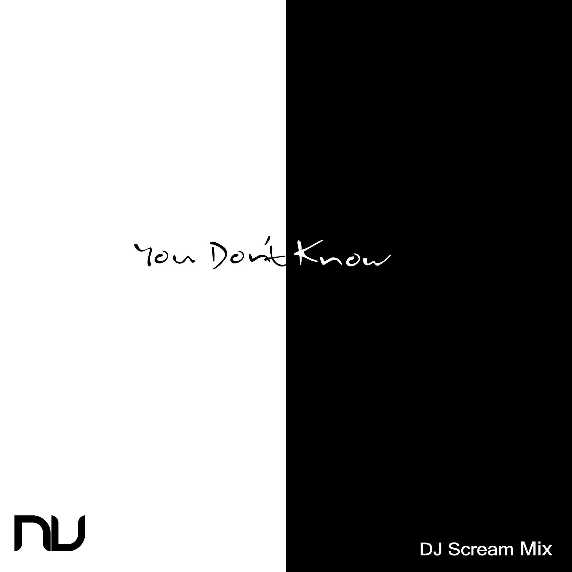Album cover of You Don't Know (DJ Scream Mix)