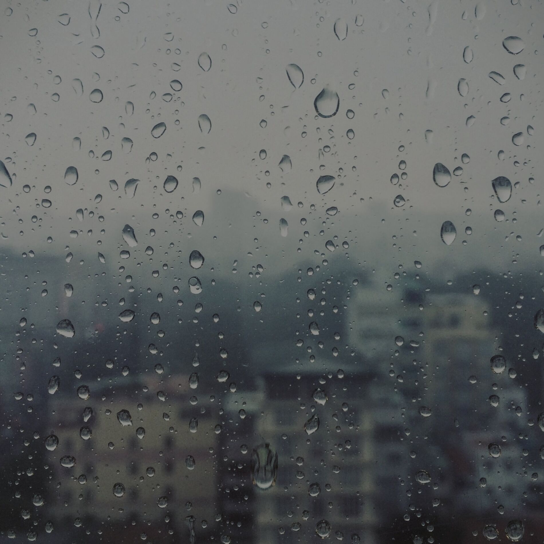 Album cover of Gentle Shower Sonata