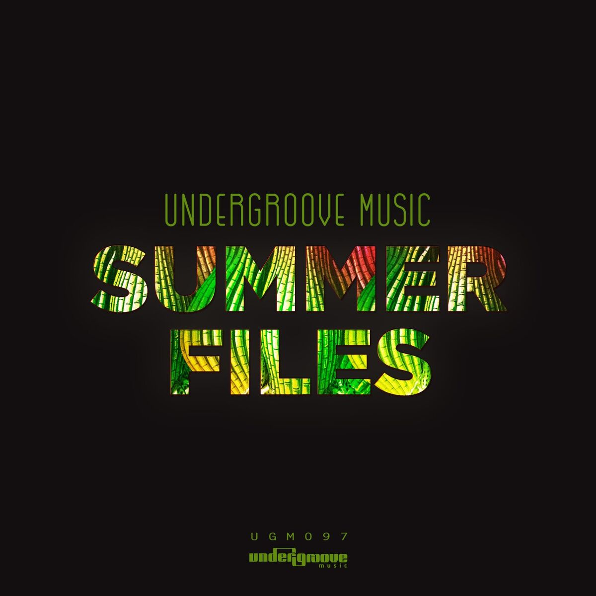 Album cover of Summer Files