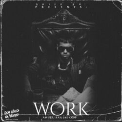 Cover of Work