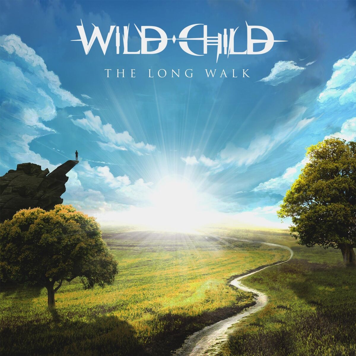 Album cover of The Long Walk