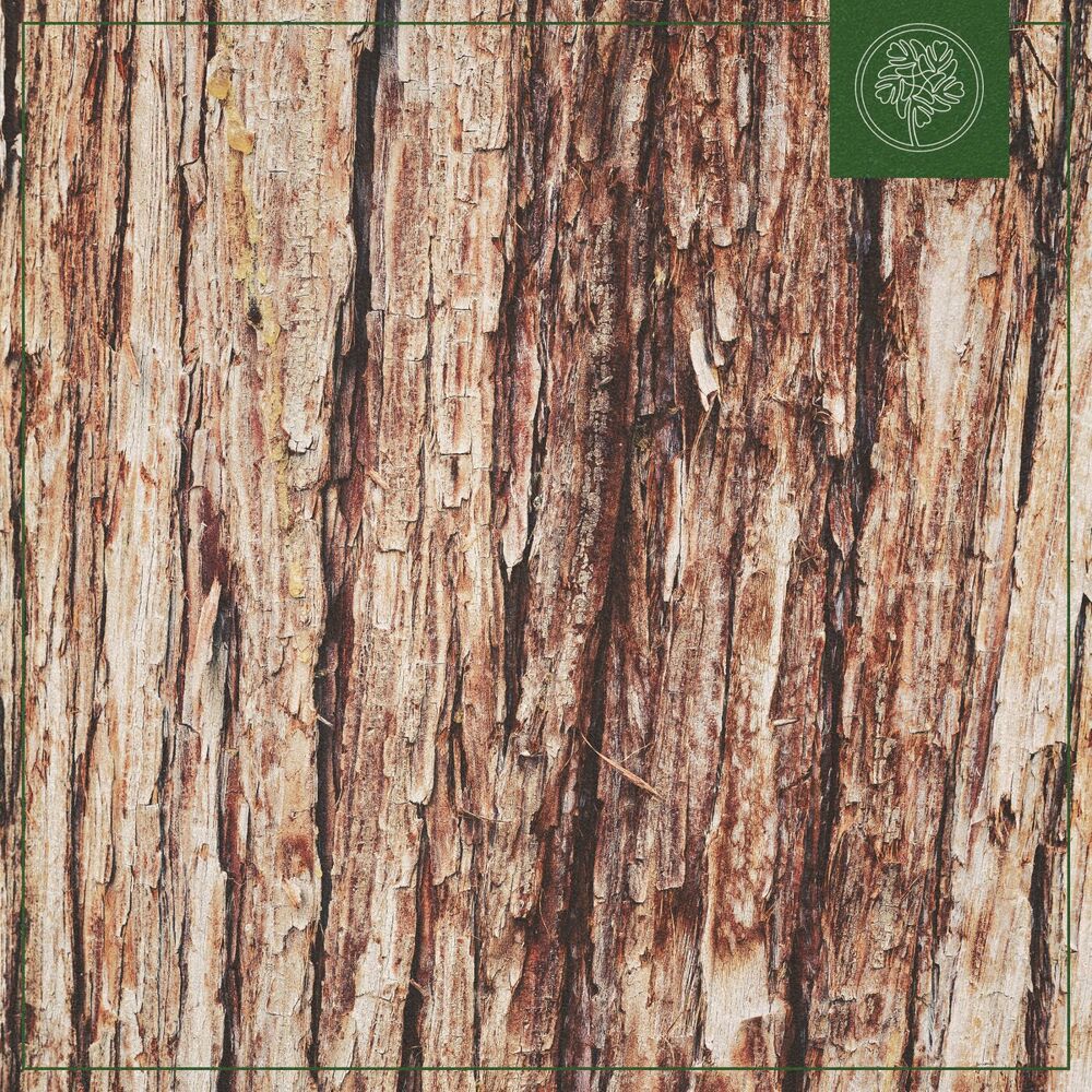 Picture of Resin