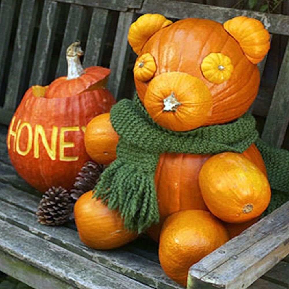 Picture of Pick the Pumpkin