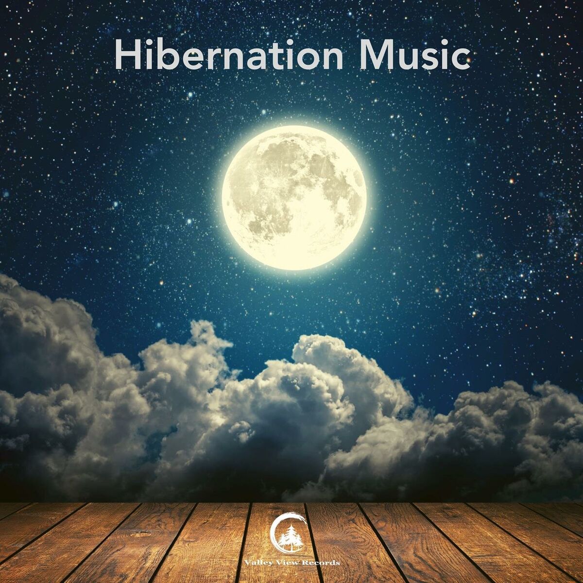 Album cover of Hibernation Music