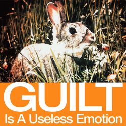 Cover of Guilt Is a Useless Emotion