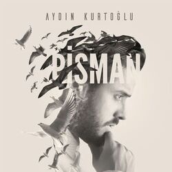music cover