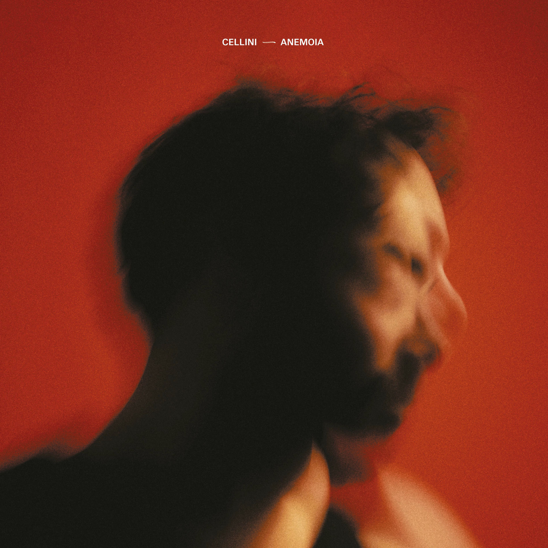 Album cover of Anemoia