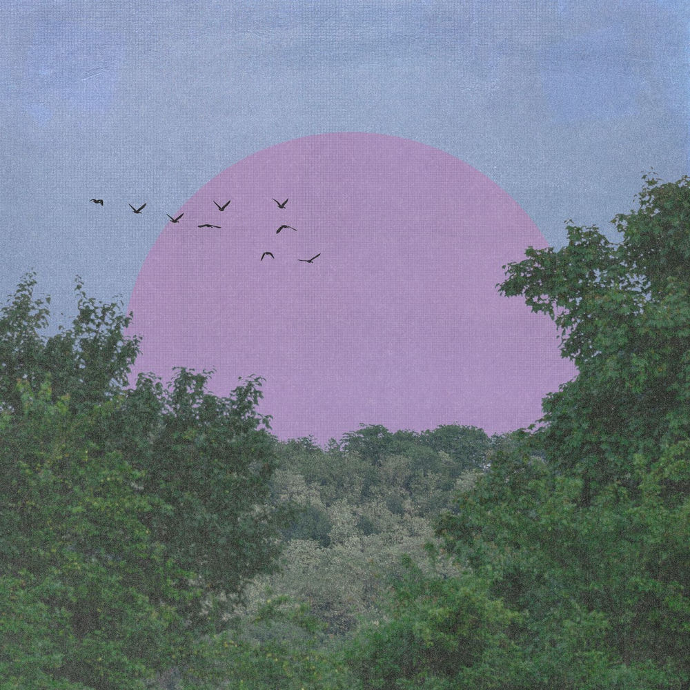 Dreams & Trees