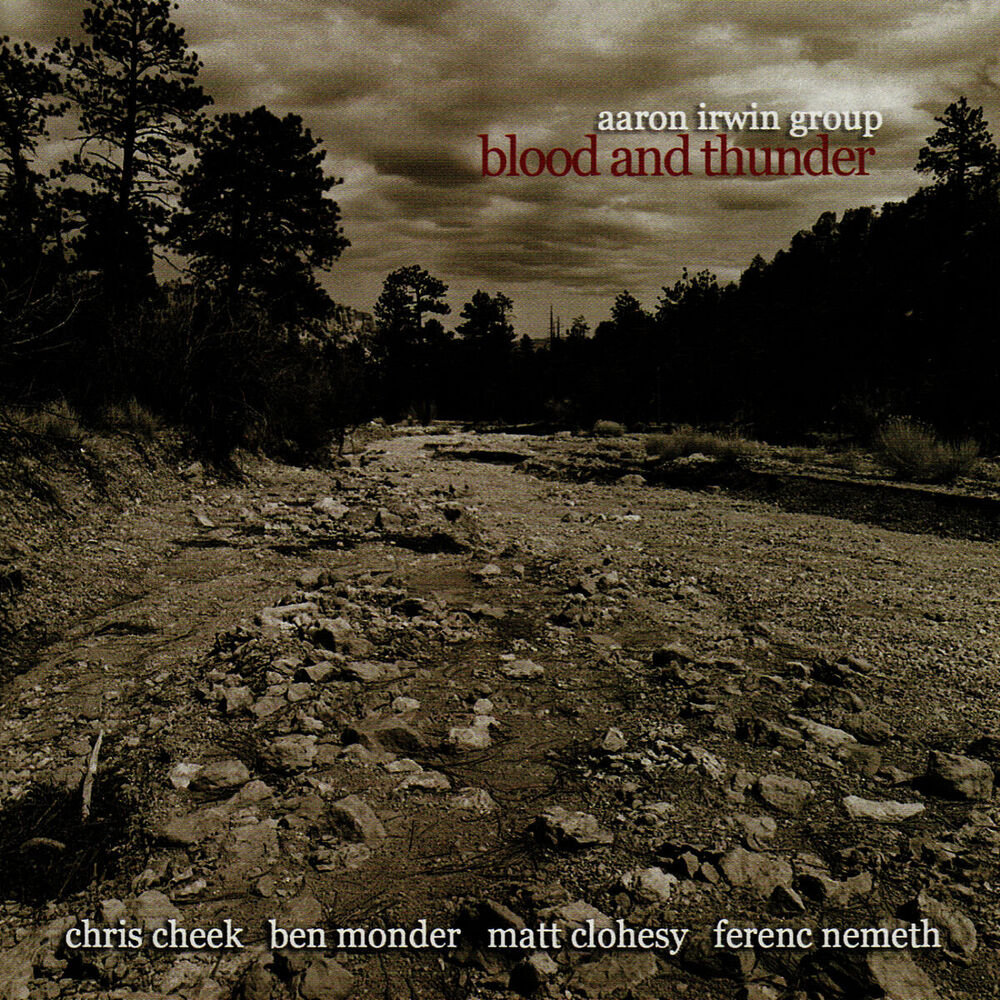 Picture of Blood and Thunder