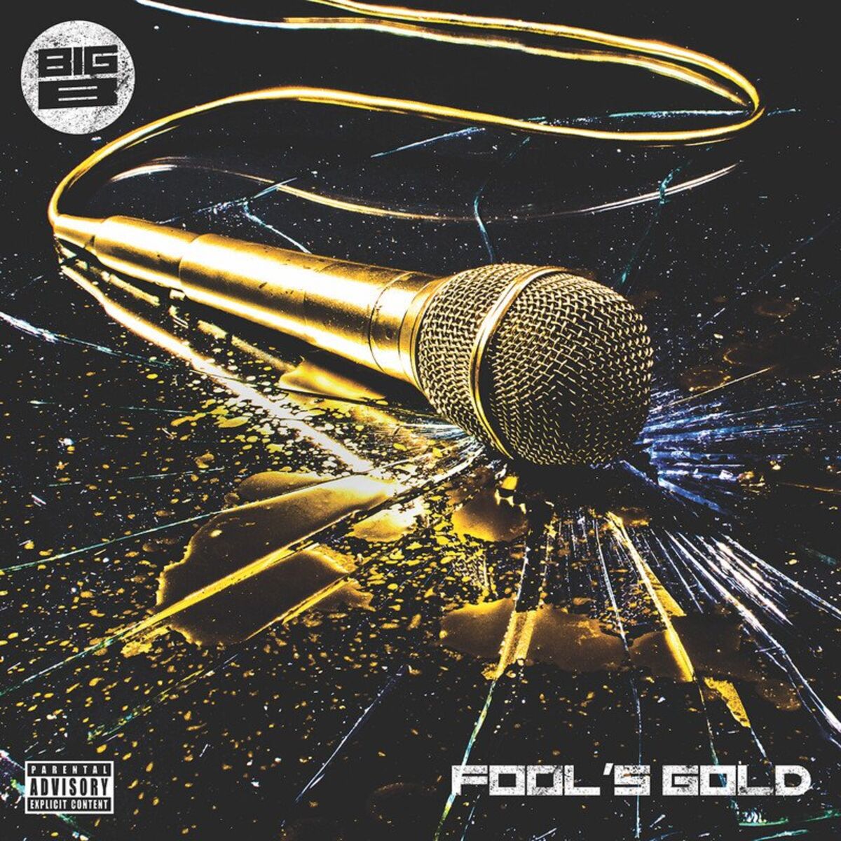 Album cover of Fool's Gold