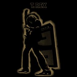 Cover of Electric Warrior [Expanded & Remastered]