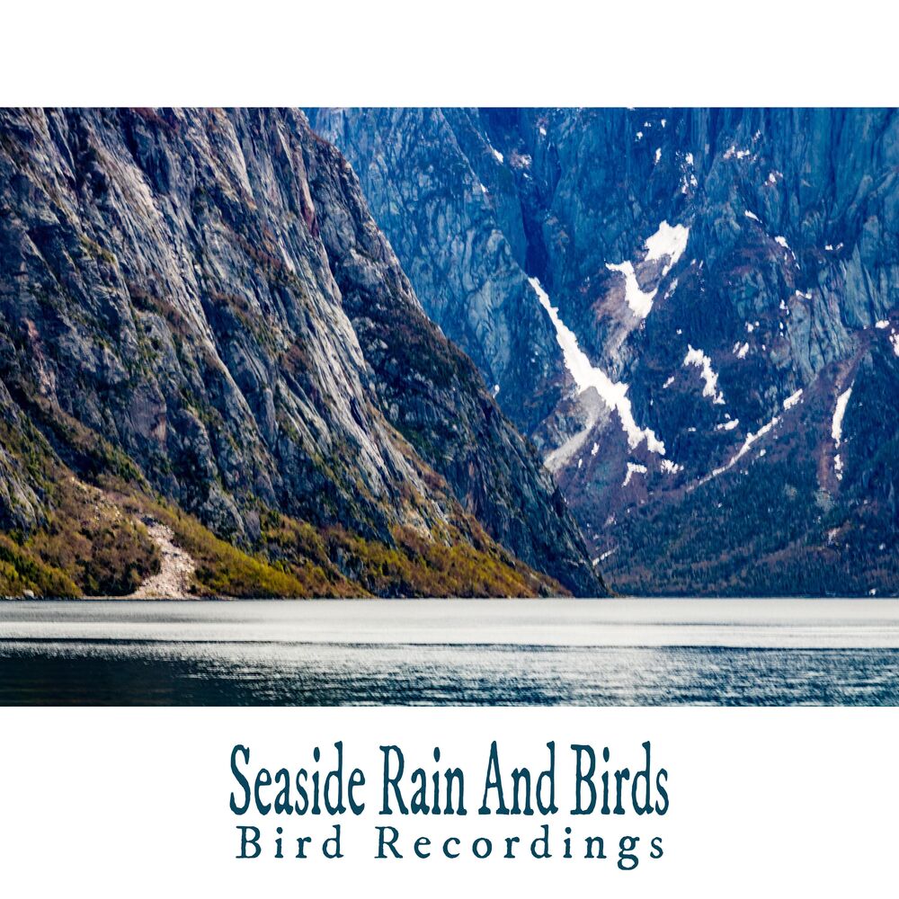 Picture of Seaside Rain And Birds