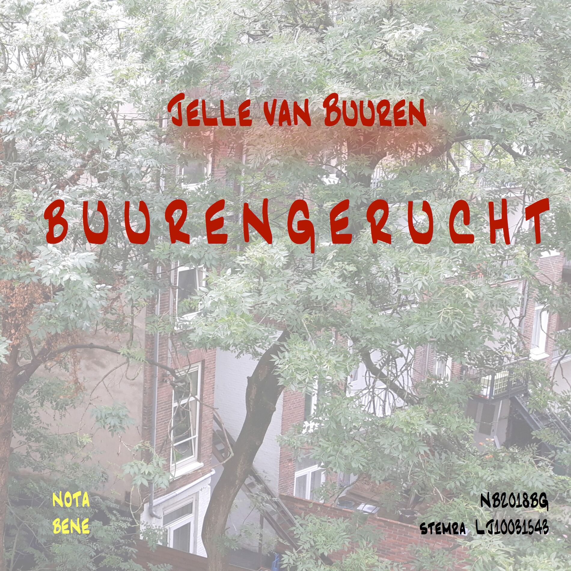 Album cover of Buurengerucht