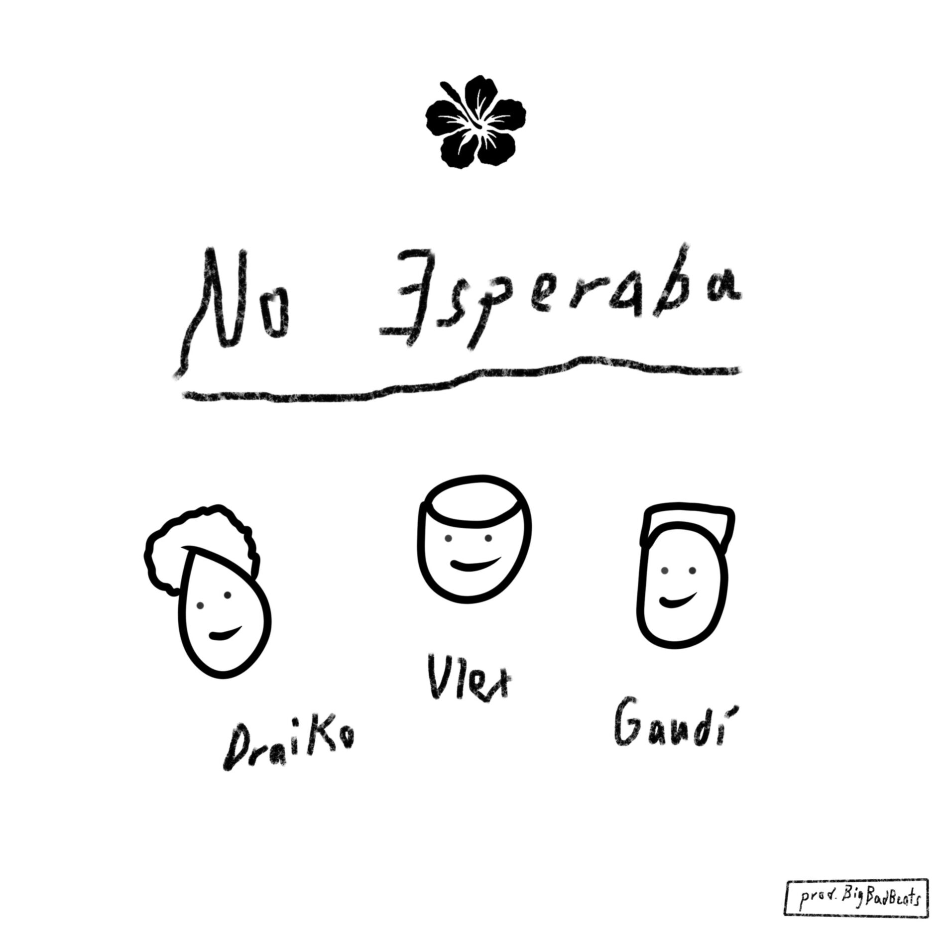 Album cover of No Esperaba (feat. Gaudí & Draiko)