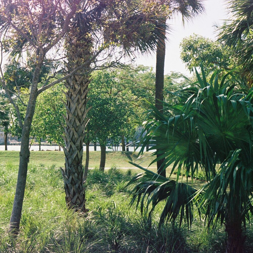 Picture of OLZ002