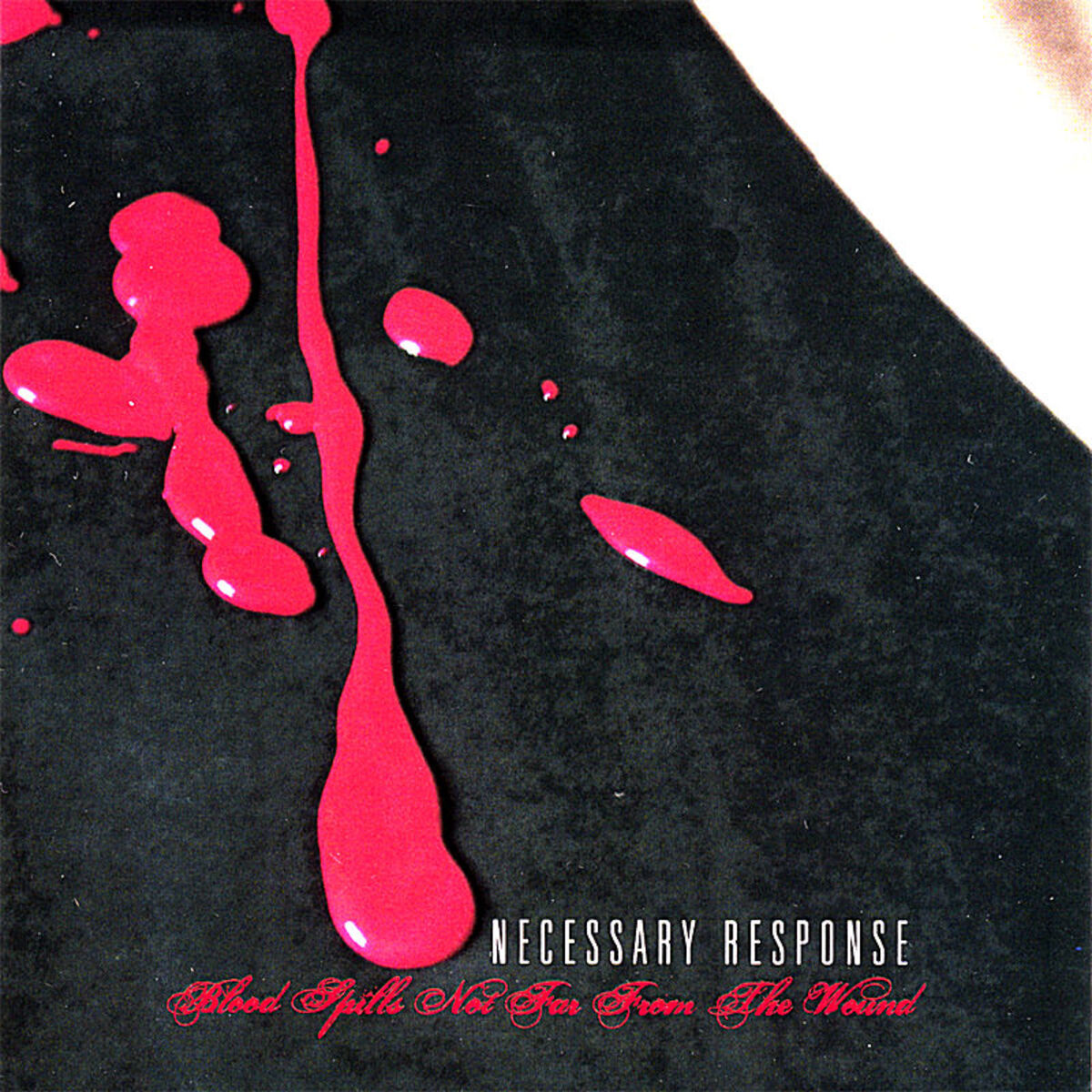 Album cover of Forever