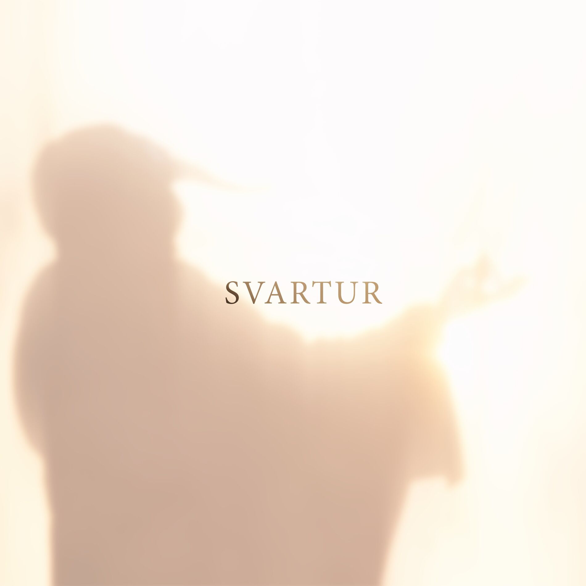 Album cover of Svartur