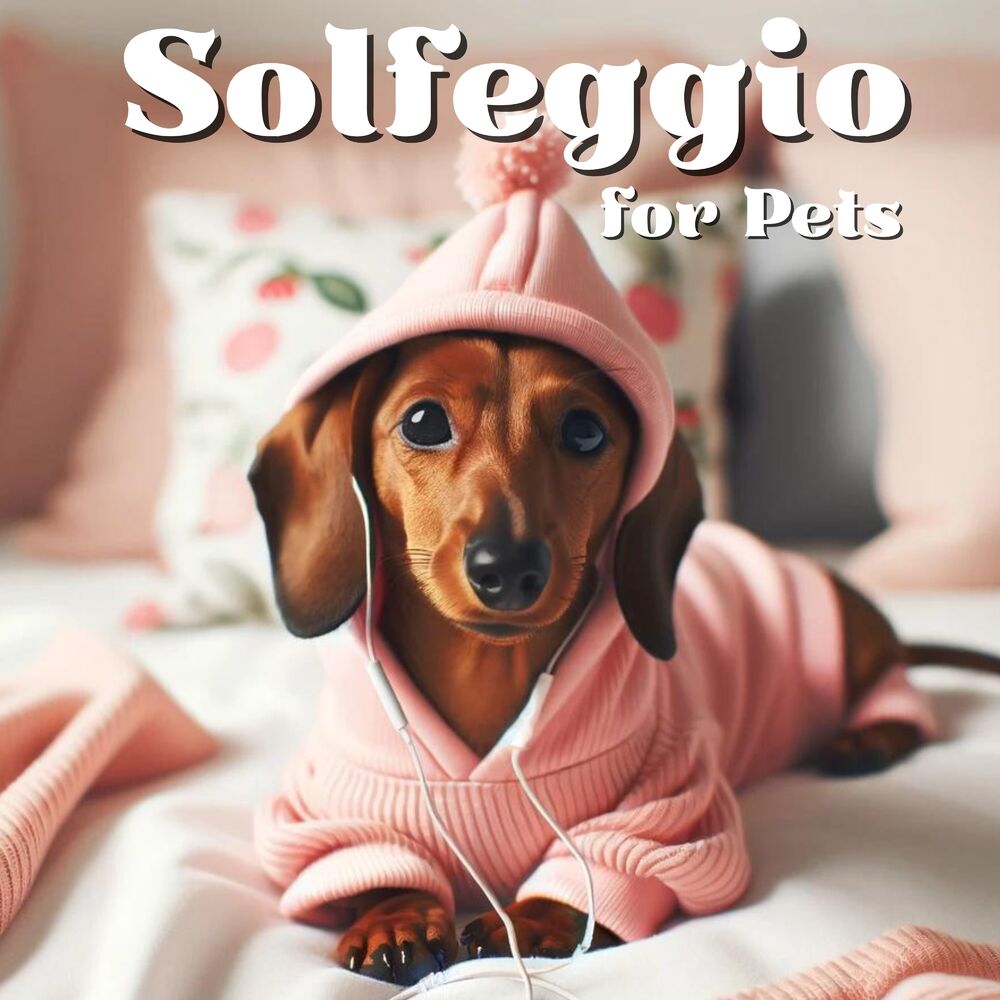 Picture of Solfeggio for Pets: Canines Relaxation, Hz Frequencies for Dog Sleep, Stress Relief for Pets
